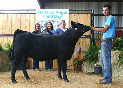 Grand Champion Bred-and-Owned Female