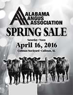 Alabama Angus Association Spring Sale